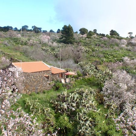 Casa Rural La Jarita Vendégház El Pinar de El Hierro Kültér fotó