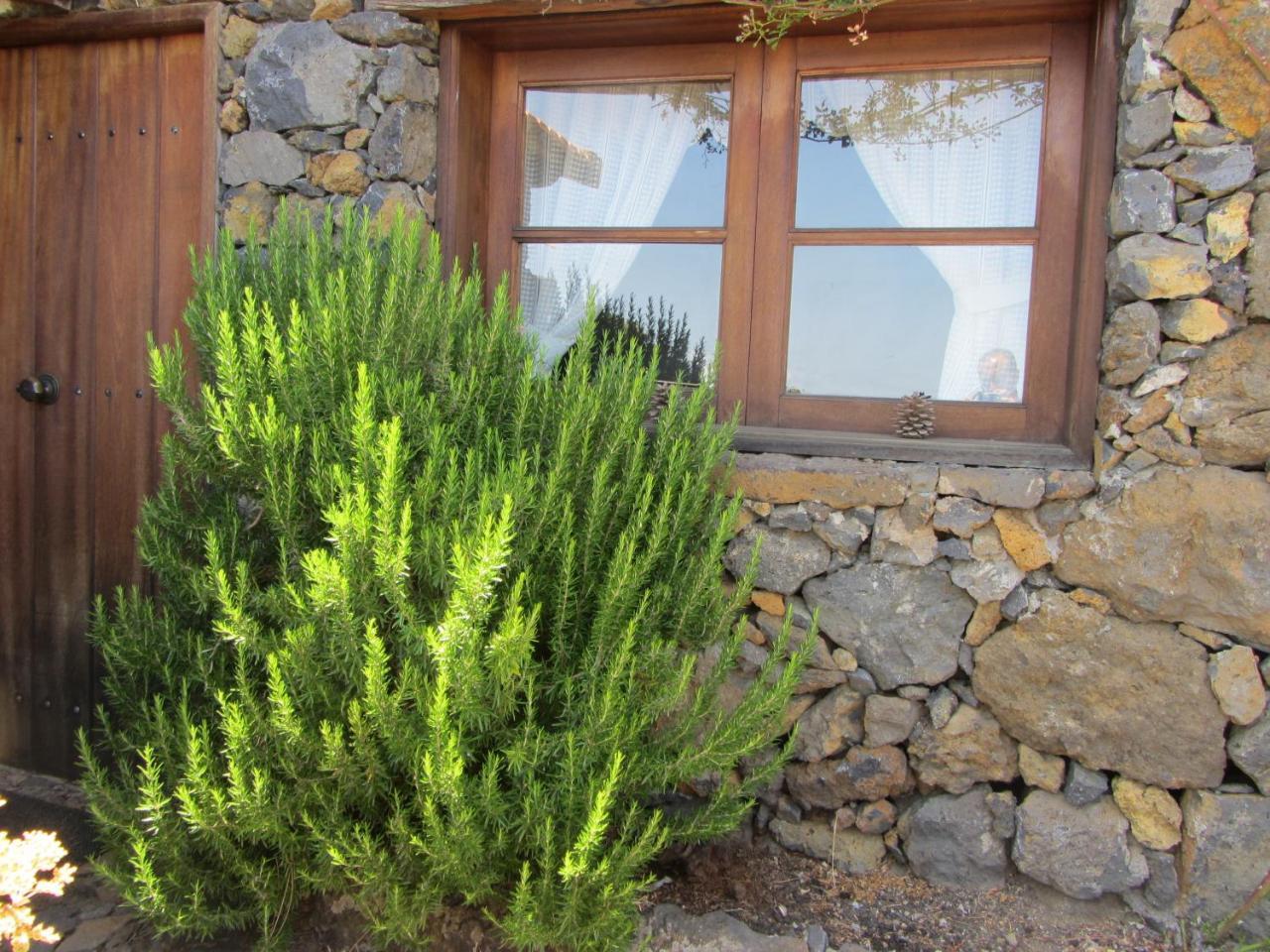 Casa Rural La Jarita Vendégház El Pinar de El Hierro Kültér fotó