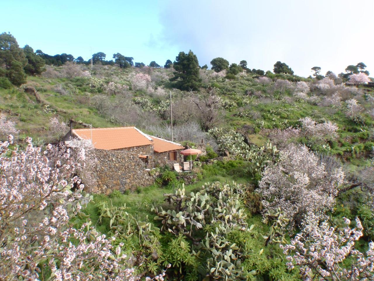 Casa Rural La Jarita El Pinar de El Hierro Kültér fotó